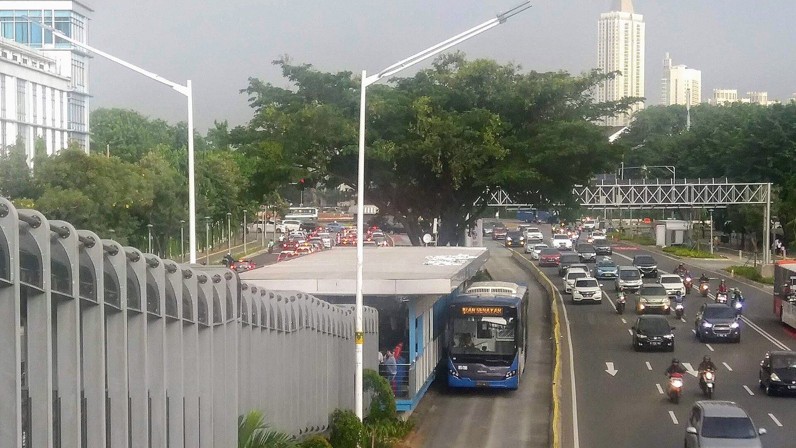 Panduan Lengkap Naik TransJakarta untuk Pemula
