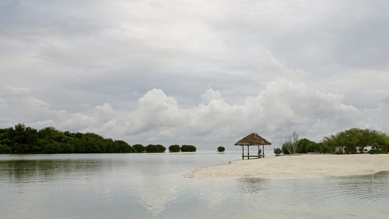 Pulau Pari: Pantai Pasir Perawan dan Ketenangan yang Sesungguhnya