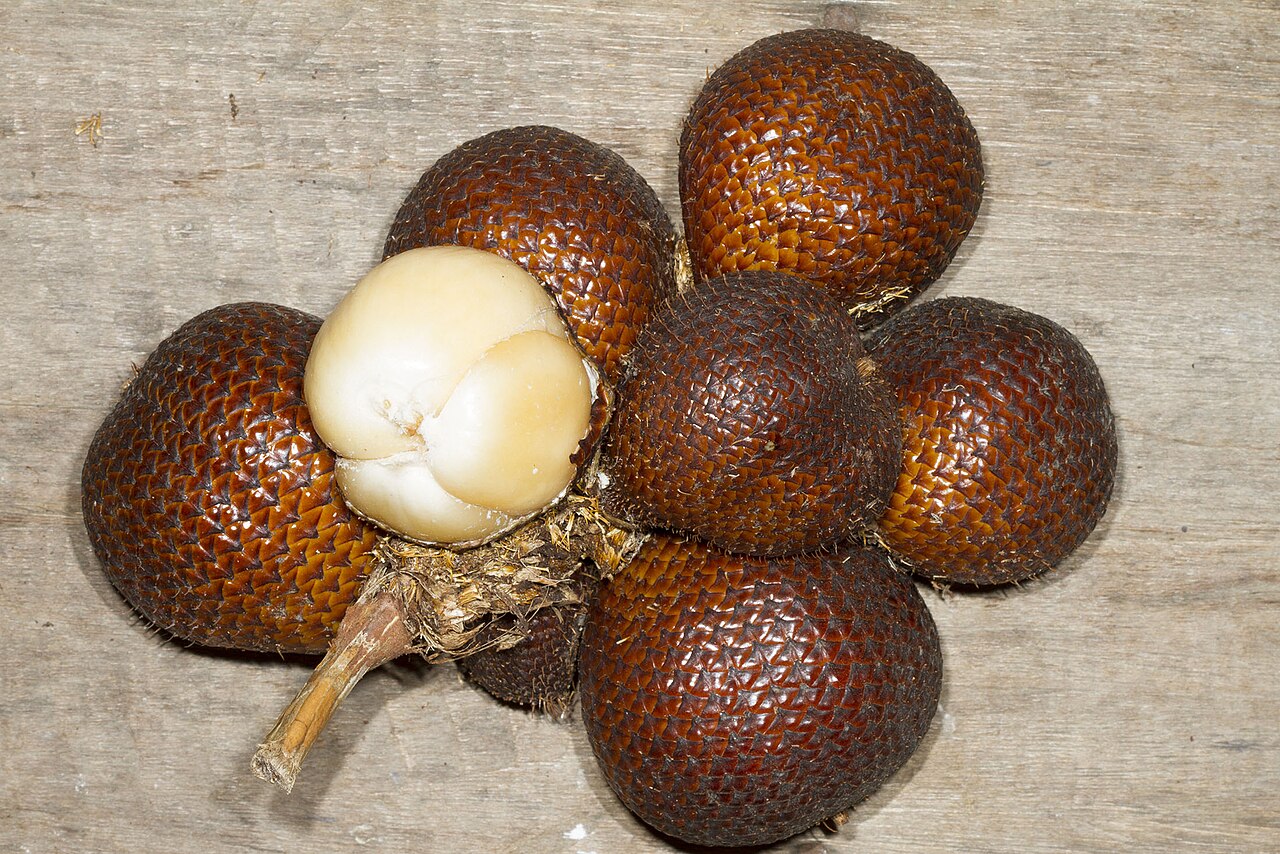 condet kampung betawi dan kebun salak yang tersisa