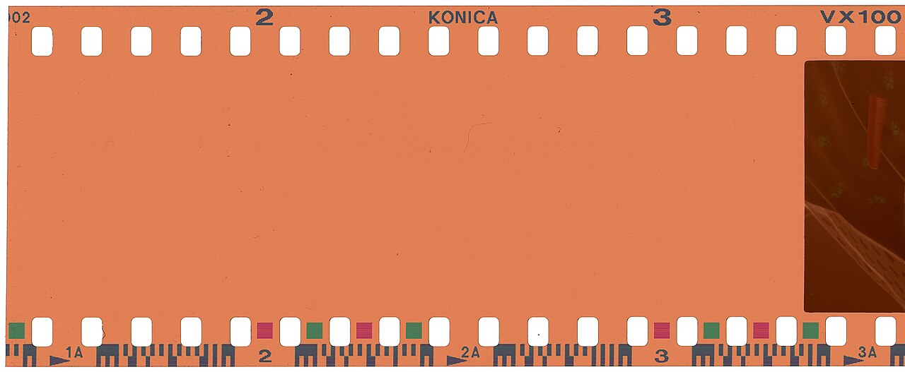 kamera analog di jakarta kembalinya roll film